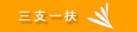 ��֧һ��